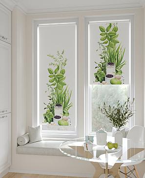 Рулонная штора «Шолкрит - 92 - ширина 62 см»