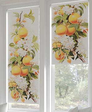 Рулонная штора «Шолкрит - 95 - ширина 62 см» | фото 2