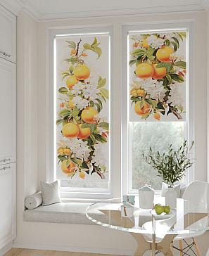 Рулонная штора «Шолкрит - 95 - ширина 62 см»