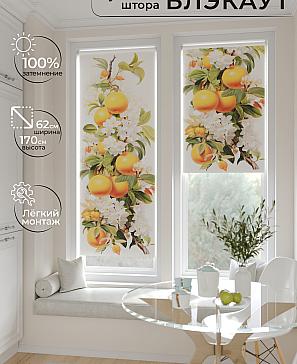 Рулонная штора «Шолкрит - 95 - ширина 62 см» | фото