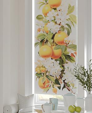 Рулонная штора «Шолкрит - 96 - ширина 62 см» | фото 3