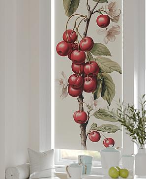 Рулонная штора «Рултис - 09 - ширина 62 см» | фото 3