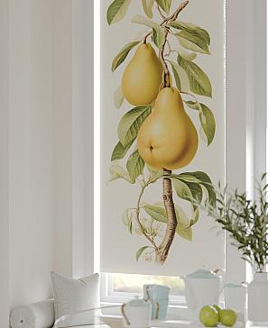 Рулонная штора «Рултис - 11 - ширина 62 см» | фото 3