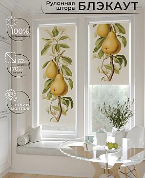 Рулонная штора «Рултис - 11 - ширина 62 см» | фото