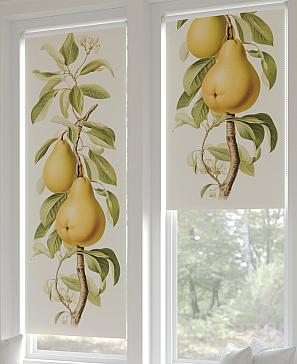 Рулонная штора «Рултис - 11 - ширина 62 см» | фото 2