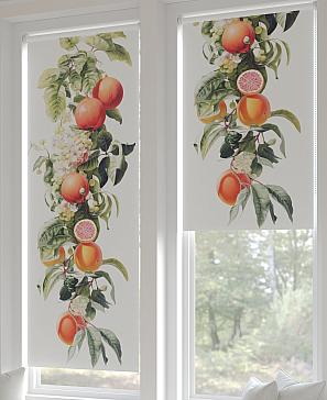 Рулонная штора «Рултис - 13 - ширина 62 см» | фото 2