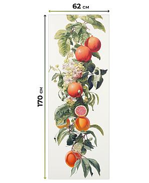 Рулонная штора «Рултис - 13 - ширина 62 см»