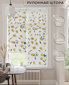 Рулонная штора «Анимаис - 75 - ширина 52 см» | фото