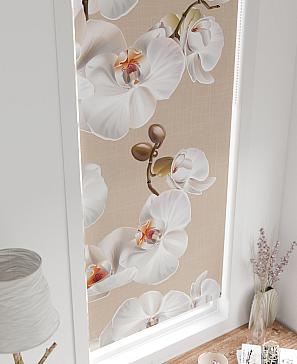 Рулонная штора «Рултис - 72 - ширина 62 см» | фото 3