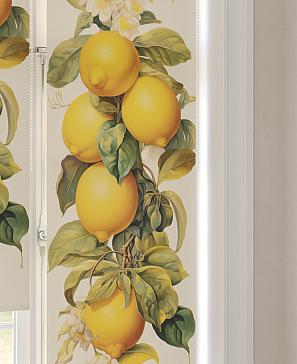 Рулонная штора  «Анимаис - 229 - ширина 52 см»