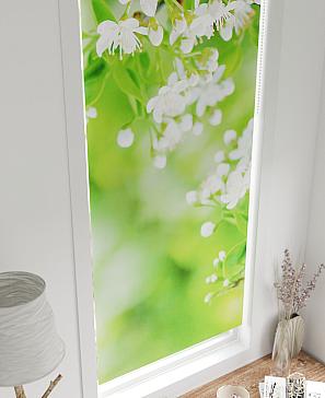 Рулонная штора «Рултис - 89 - ширина 62 см» | фото 3