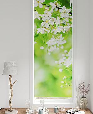 Рулонная штора «Рултис - 89 - ширина 62 см» | фото 2