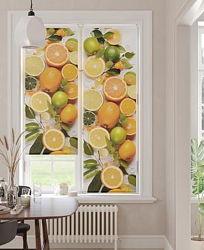 Рулонная штора «Анимаис - 252 - ширина 52 см» | фото 3