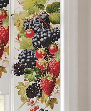 Рулонная штора  «Анимаис - 253 - ширина 52 см»