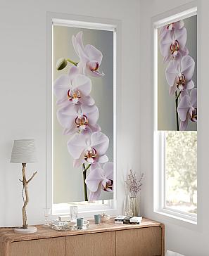 Рулонная штора «Рултис - 105 - ширина 62 см»