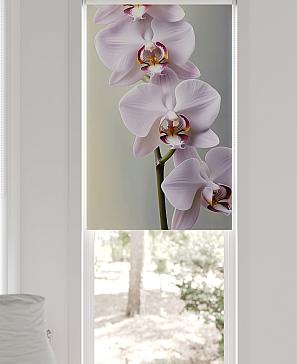 Рулонная штора «Рултис - 105 - ширина 62 см»