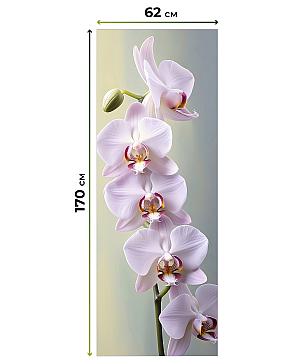 Рулонная штора «Рултис - 105 - ширина 62 см»