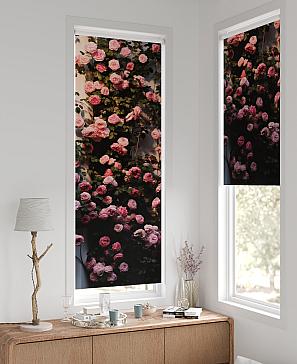 Рулонная штора «Федера - 31 - ширина 62 см»