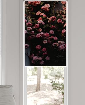 Рулонная штора «Федера - 31 - ширина 62 см» | фото 3