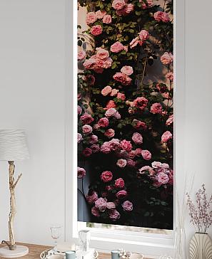 Рулонная штора «Федера - 31 - ширина 62 см»