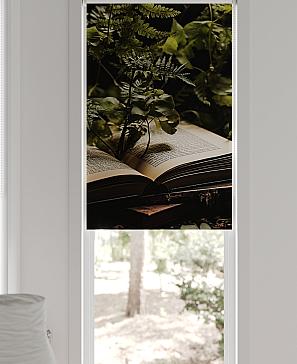 Рулонная штора «Федера - 43 - ширина 62 см» | фото 3