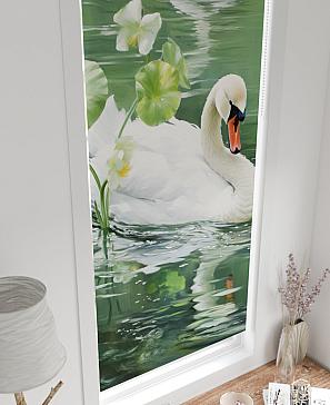 Рулонная штора «Рултис - 110 - ширина 62 см» | фото 3