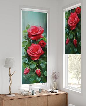 Рулонная штора «Рултис - 113 - ширина 62 см»