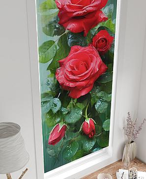 Рулонная штора «Рултис - 113 - ширина 62 см» | фото 3