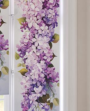 Рулонная штора  «Анимаис - 255 - ширина 52 см»