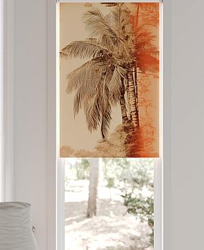 Рулонная штора «Федера - 68 - ширина 62 см» | фото 3