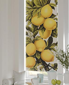 Рулонная штора «Федера - 87 - ширина 62 см» | фото 2