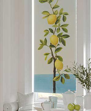 Рулонная штора «Федера - 105 - ширина 62 см» | фото 2