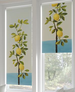 Рулонная штора «Федера - 105 - ширина 62 см»