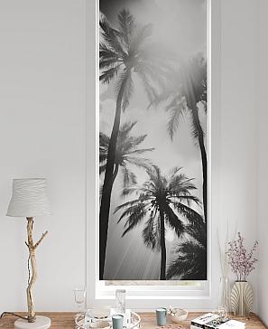 Рулонная штора «Рултис - 195 - ширина 62 см» | фото 2