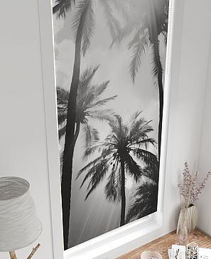 Рулонная штора «Рултис - 195 - ширина 62 см» | фото 3