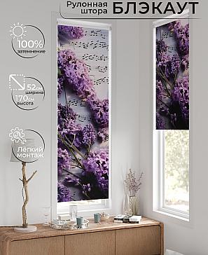 Рулонная штора «Салисто - 2 - ширина 52 см» | фото