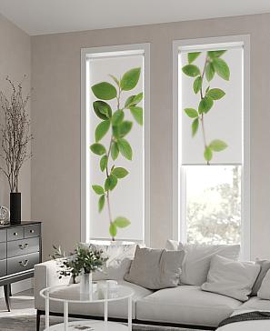 Рулонная штора «Анимаис - 272 - ширина 52 см» | фото 3