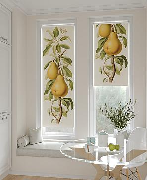 Рулонная штора «Артионт - 220 - ширина 52 см» | фото 2