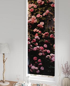 Рулонная штора «Салисто -30- ширина 52 см»