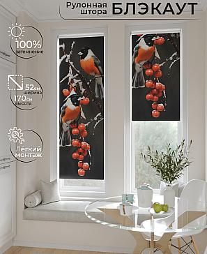 Рулонная штора «Артионт - 245 - ширина 52 см» | фото