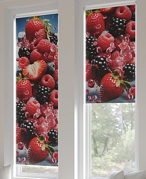 Рулонная штора «Артионт -247- ширина 52 см»