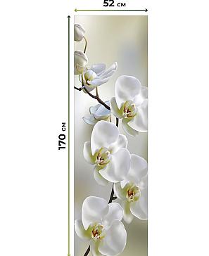 Рулонная штора  «Анимаис - 297 - ширина 52 см»