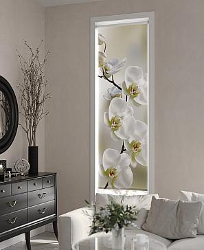 Рулонная штора  «Анимаис - 297 - ширина 52 см»