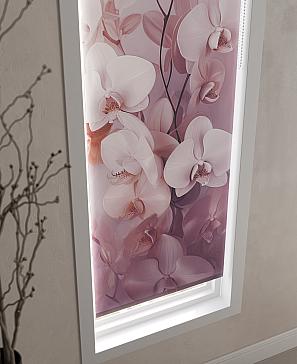 Рулонная штора  «Анимаис - 299 - ширина 52 см»