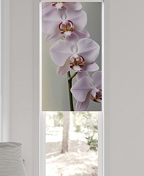 Рулонная штора «Артионт - 314 - ширина 52 см» | фото 3