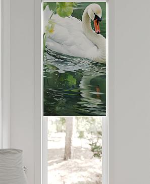 Рулонная штора «Артионт - 319 - ширина 52 см» | фото 3