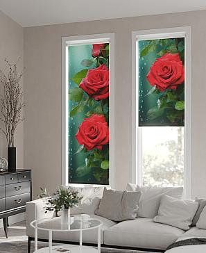 Рулонная штора «Анимаис - 324 - ширина 52 см» | фото 3