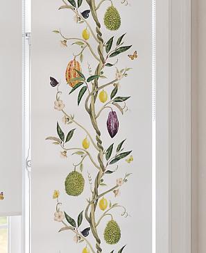 Рулонная штора «Бетта-7 - ширина 62 см» | фото 2