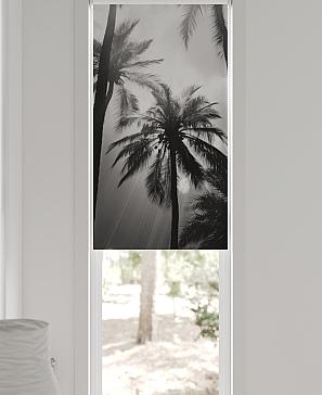 Рулонная штора «Артионт -404- ширина 52 см»