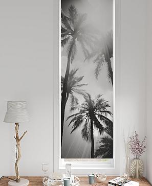 Рулонная штора «Артионт - 404 - ширина 52 см» | фото 2